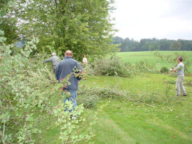 Hecke Bernegg Weissdorn, 18.08.2007 014 (23)