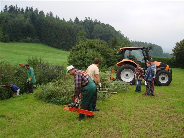 Hecke Bernegg Weissdorn, 18.08.2007 014 (5)