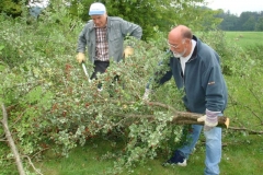 Hecke Bernegg Weissdorn, 18.08.2007 014 (20)