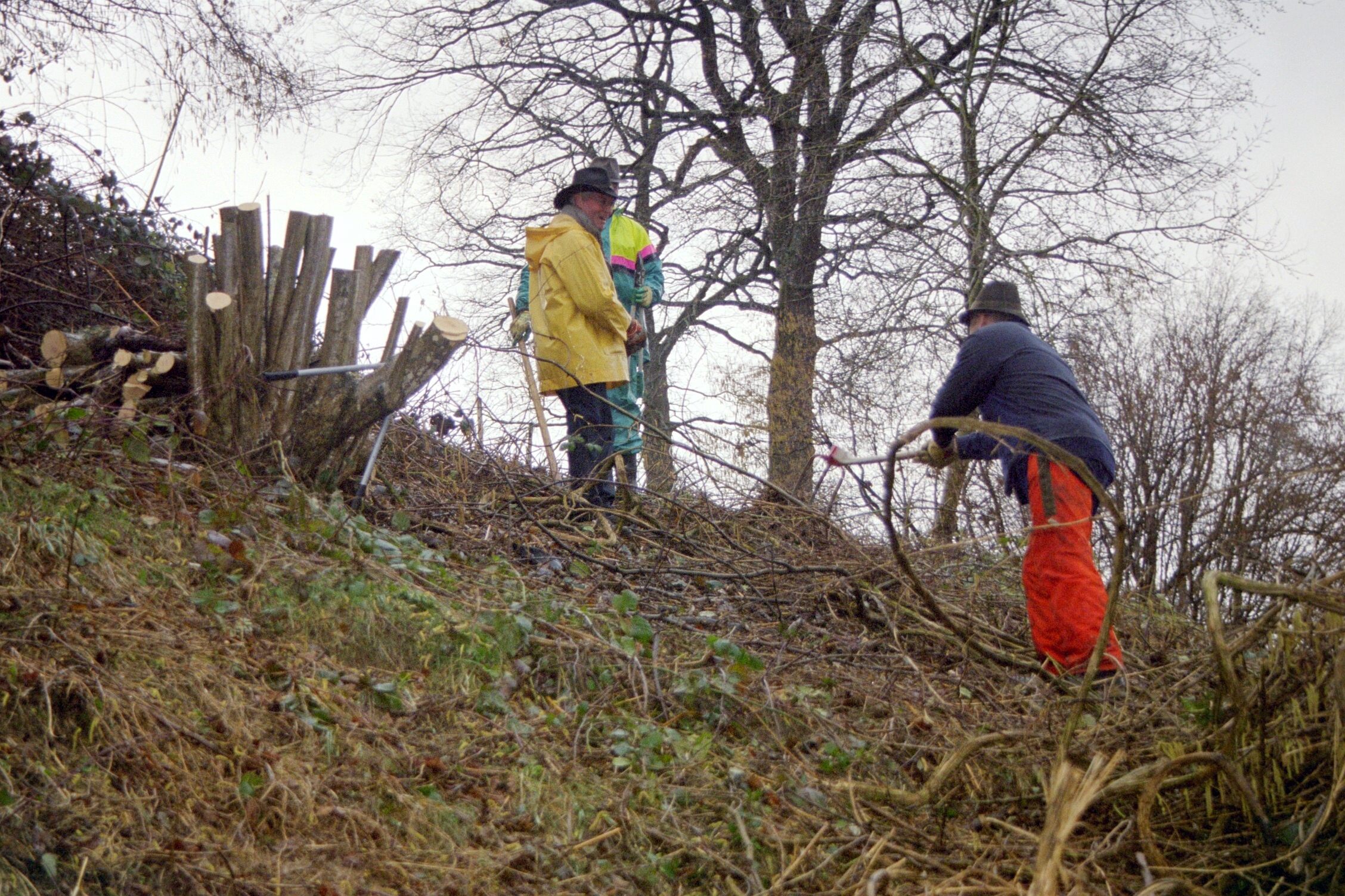 Toebeli Hecke 11.02.2004 (11)