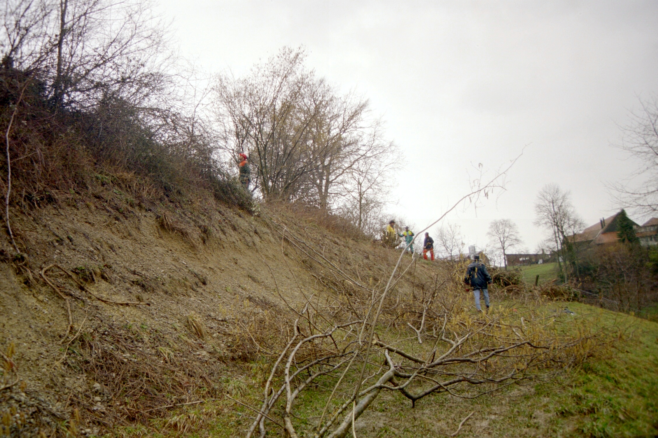 Toebeli Hecke 11.02.2004 (13)