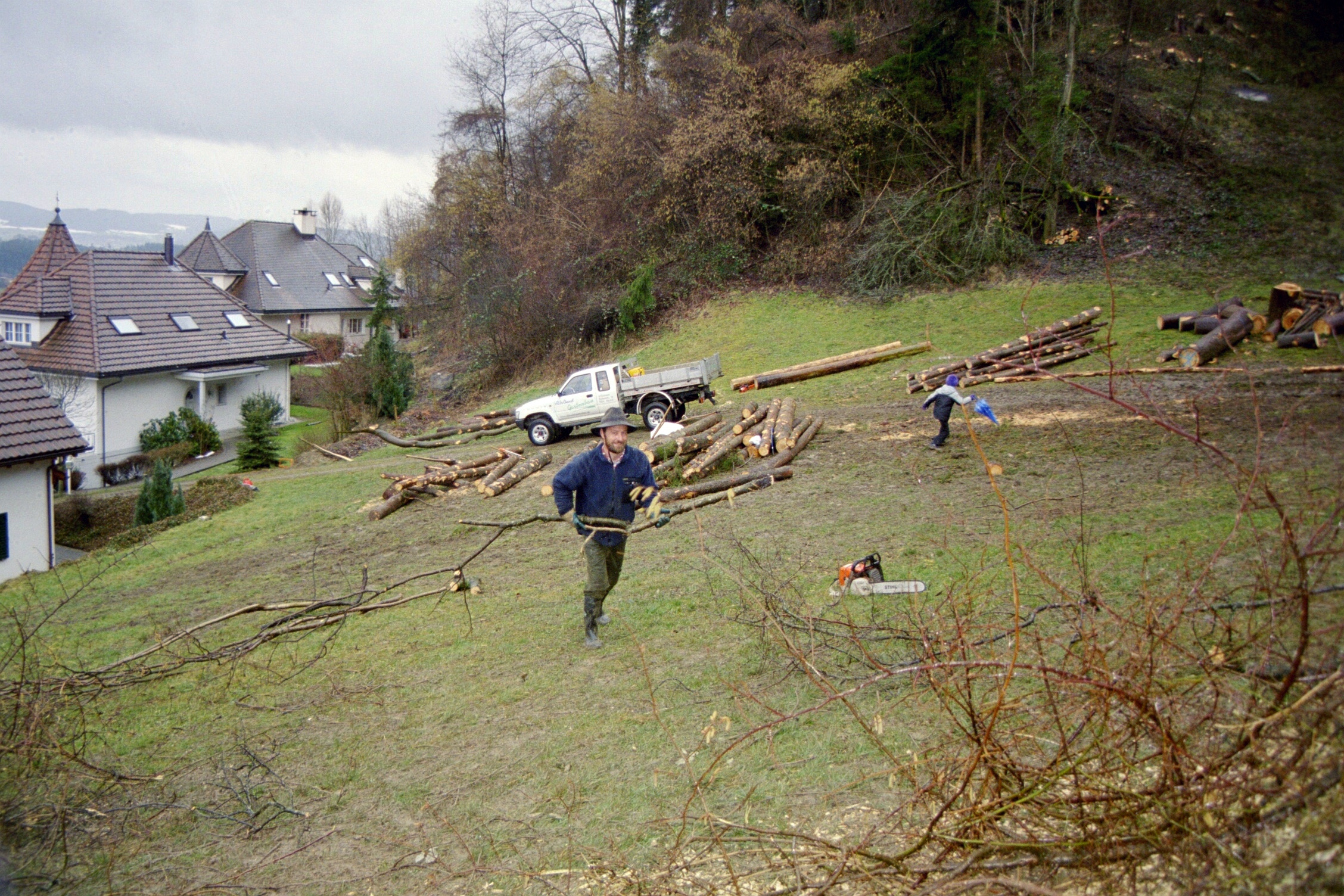 Toebeli Hecke 11.02.2004 (18)