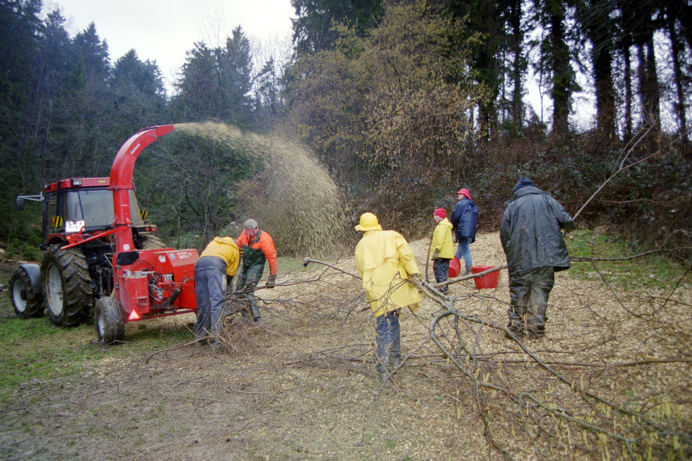 Toebeli Hecke 11.02.2004 (21)