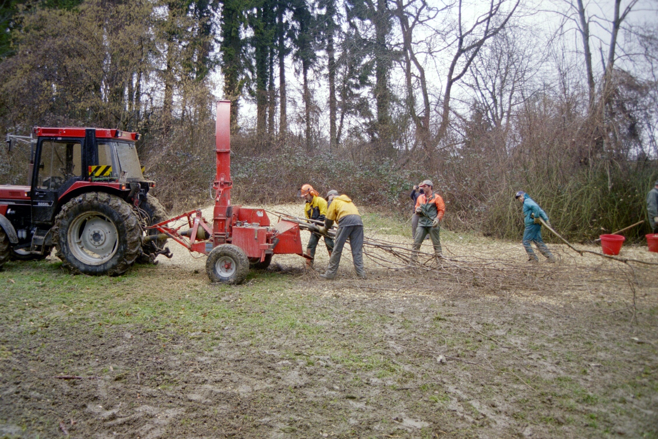 Toebeli Hecke 11.02.2004 (23)