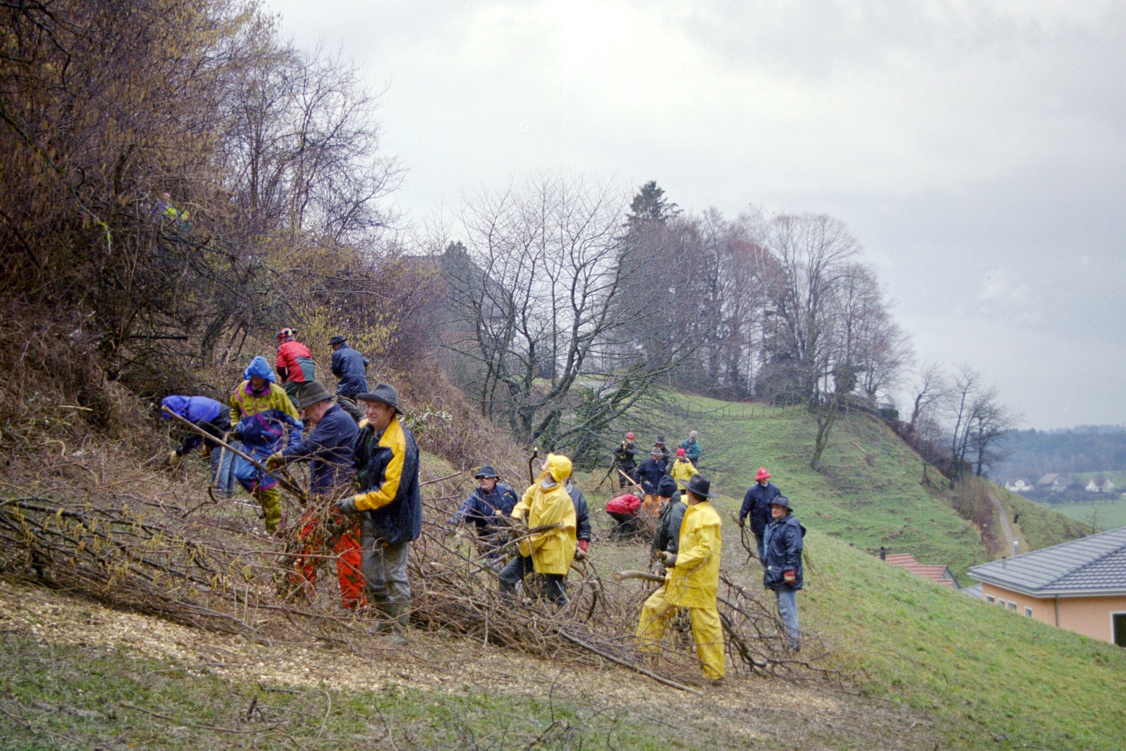 Toebeli Hecke 11.02.2004 (26)