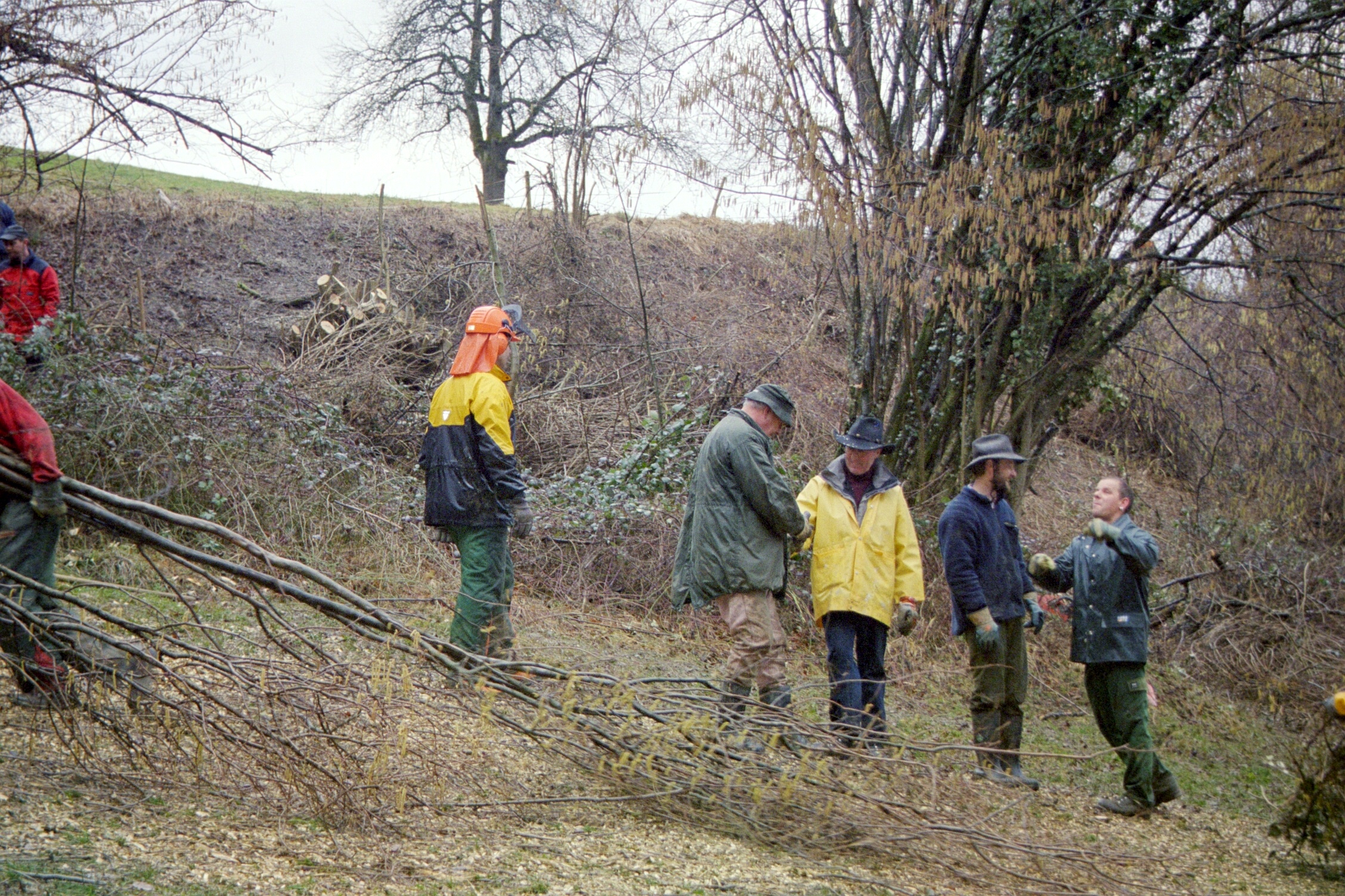 Toebeli Hecke 11.02.2004 (27)