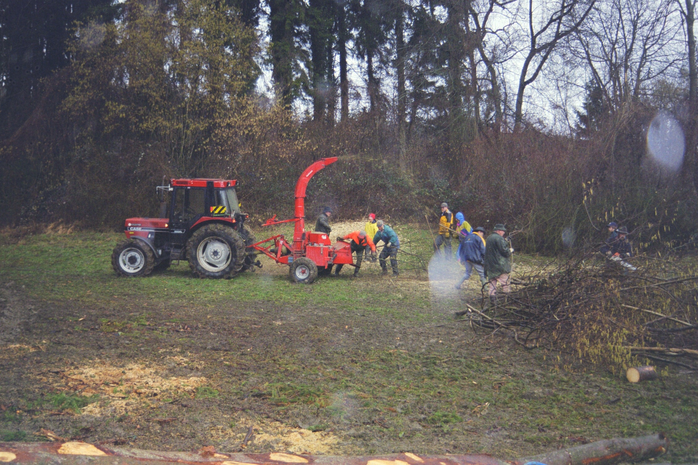 Toebeli Hecke 11.02.2004 (4)