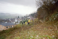 Toebeli Hecke 11.02.2004 (10)