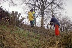 Toebeli Hecke 11.02.2004 (11)