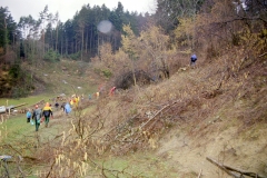 Toebeli Hecke 11.02.2004 (15)