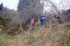 Toebeli Hecke 11.02.2004 (16)