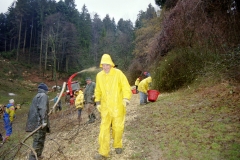 Toebeli Hecke 11.02.2004 (19)