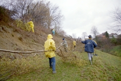 Toebeli Hecke 11.02.2004 (2)