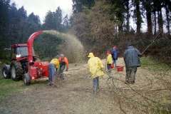 Toebeli Hecke 11.02.2004 (21)