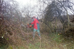 Toebeli Hecke 11.02.2004 (22)