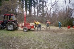 Toebeli Hecke 11.02.2004 (23)