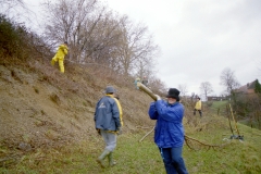 Toebeli Hecke 11.02.2004 (3)