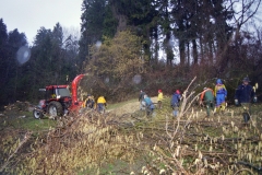 Toebeli Hecke 11.02.2004 (5)