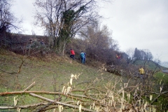 Toebeli Hecke 11.02.2004 (6)