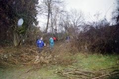 Toebeli Hecke 11.02.2004 (7)