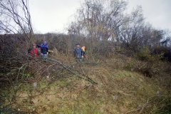 Toebeli Hecke 11.02.2004 (9)