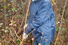 Hecke Toebeli 24.11.2007 001 (15)
