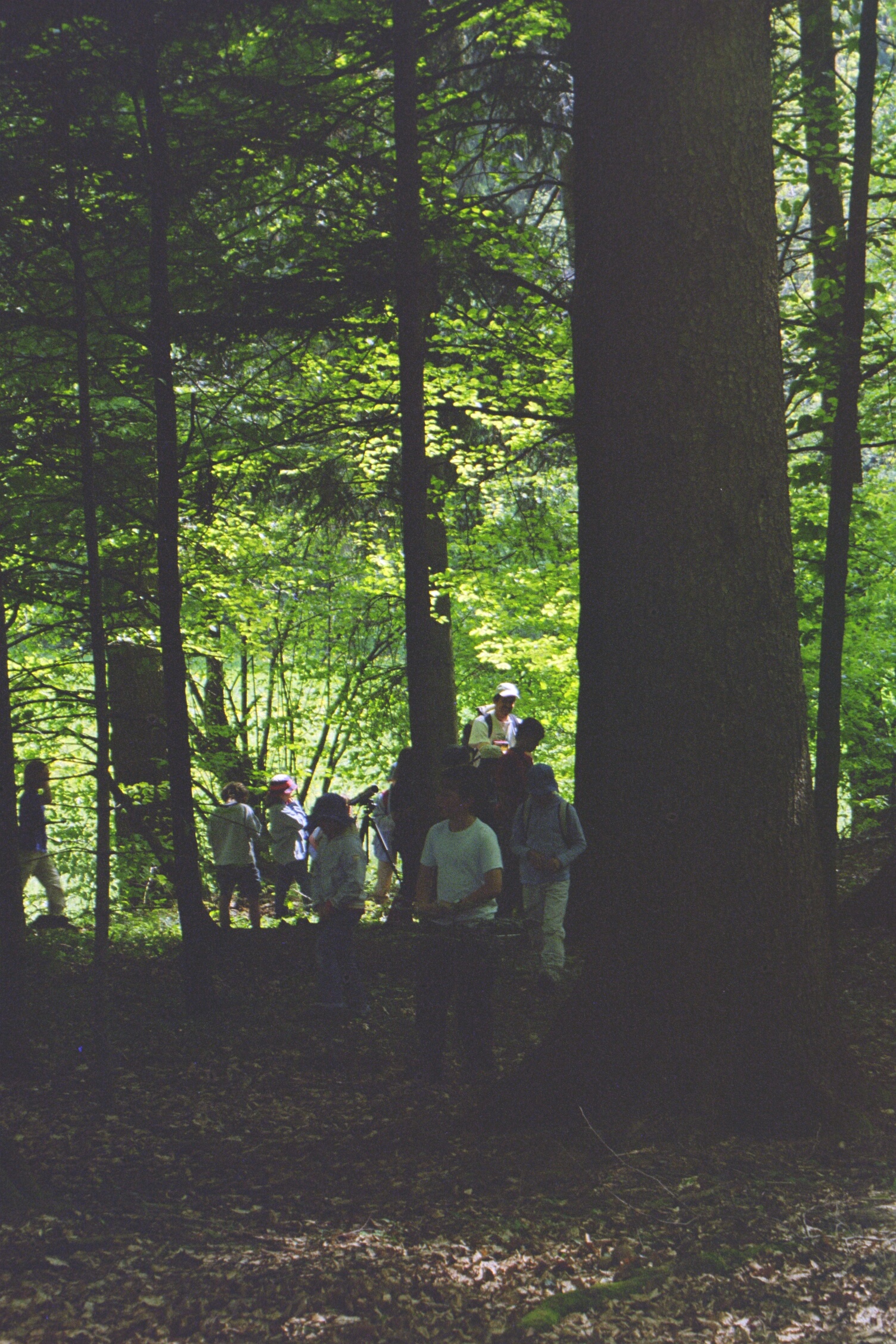 Kinderexkursion 26.05 (3)